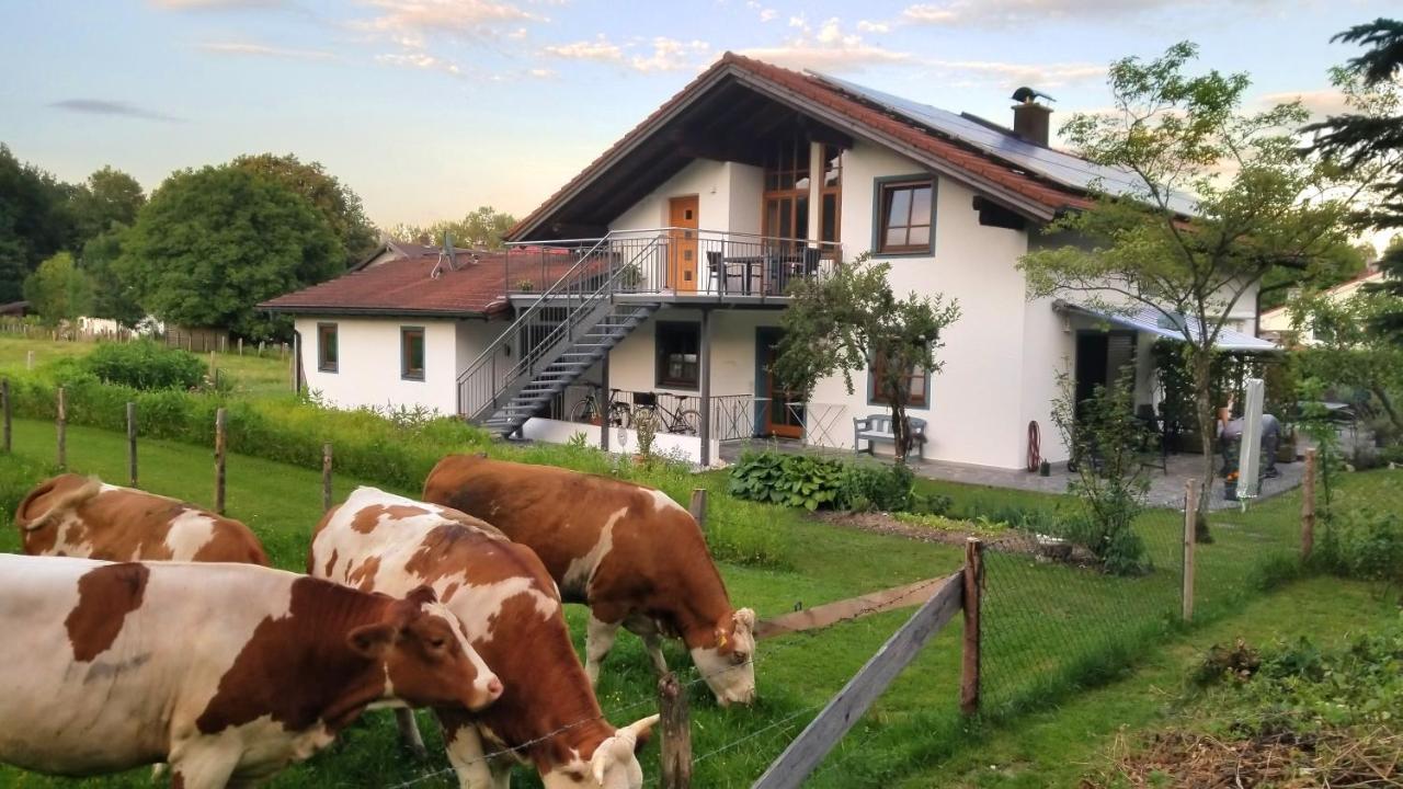 Exclusiv - Ferienwohnung Hinterreiter Ainring Exterior foto